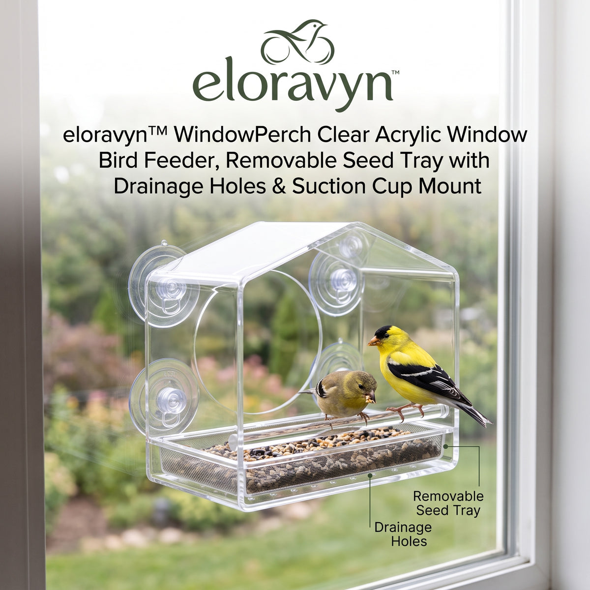 eloravyn™ WindowPerch Clear Acrylic Window Bird Feeder, Removable Seed Tray with Drainage Holes & Suction Cup Mount